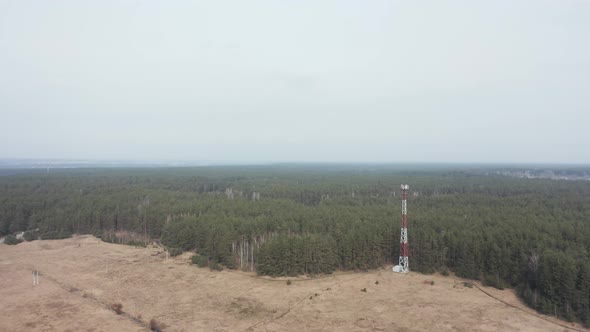 AERIAL: Flying Towards Forest with Electrical Tower Near the Edge of Forest