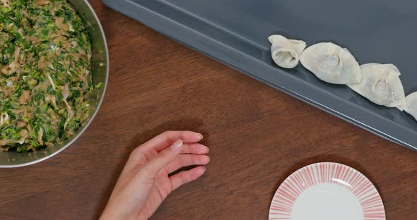 Homemade chinese meat dumpling alt