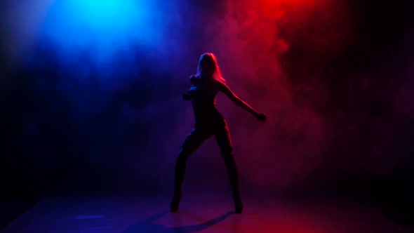 Nightclub Sexy Girl Dancer Performing on Stage in Bright Lights alt