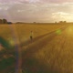 Sporty Child Runs Through a Green Wheat Field - VideoHive Item for Sale