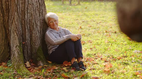 Greyhaired Woman is Resting Under the Tree in Park Autumn Full Shot Selective Focus alt
