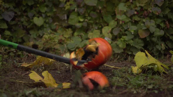 A Halloween Pumpkin Lies on the Ground and Was Chopped Up with an Ax alt