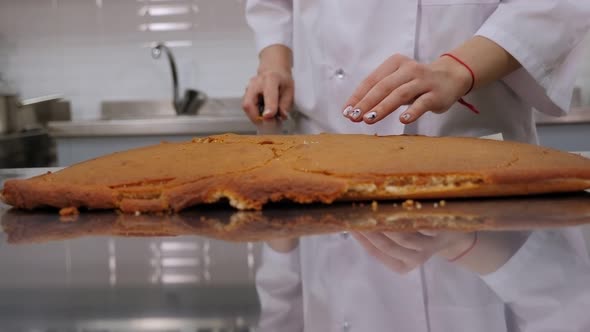 Close-up of a Pastry Chef Cuts a Round Shape From a Biscuit Dough for a Cake. alt