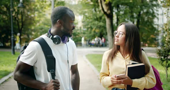 Multiracial Students Chatting in Park