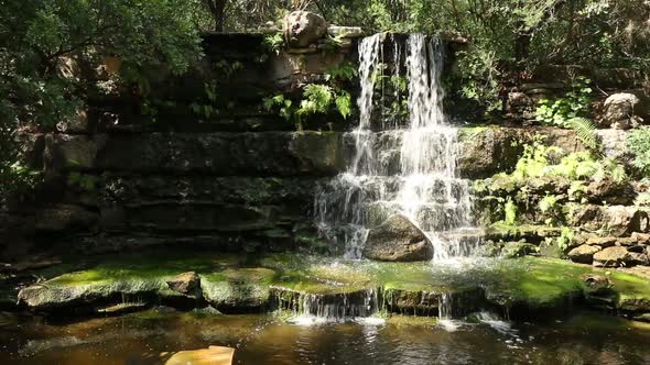 Waterfall at Zilker Park alt