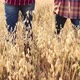Young Farmer Walking with Father among Crops - VideoHive Item for Sale