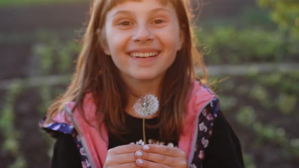 Beautiful Young Child in Green Grass Blowing Dandelion at Sunset