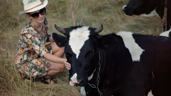 Female Farmer In Sunglasses Hand Strokes Cow In Grass Field On Countryside Ranch. Farm Animals. alt