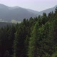 Fly over Mountain rural towards big forest and rises above the tree crowns  with moody sky and alps - VideoHive Item for Sale