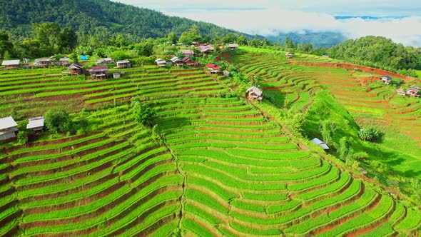 Aerial view of drones flying over rice terraces alt