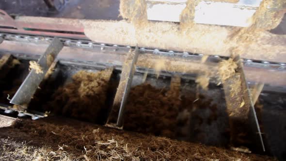 Production machine working and producing palm oil in a huge factory in Malaysia (Kilang Kelapa Sawit alt