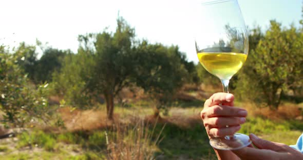 Woman examining glass of wine 4k alt