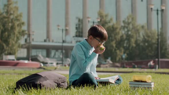 Online Education, Back To School, Happy Schoolboy, Learn Lessons. alt