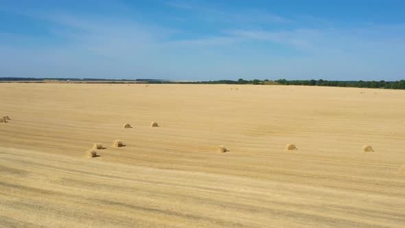 Round Hay Bales At The Field 5 alt