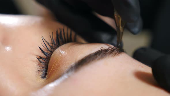 Beautician in Black Gloves Making Permanent Makeup Correction Eyebrows Shape alt