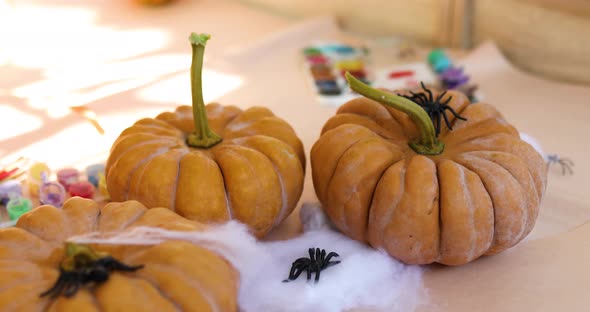 Halloween home decorations with spiders and pumpkins