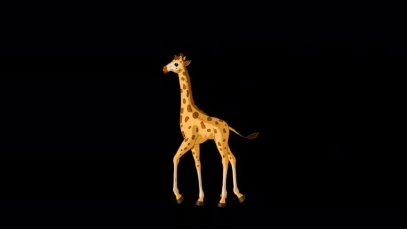 Little baby giraffe walks back and forth alpha matte full shot 4K