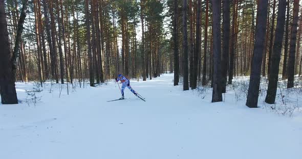 Skier in the Woods
