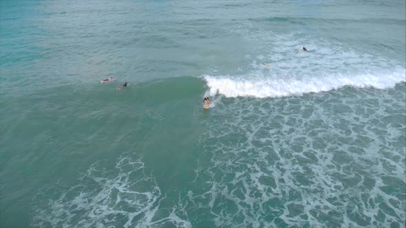 Aerial View From Above Athletic Young Women and Men Surf, Ride Big Waves with Bright Daylight alt