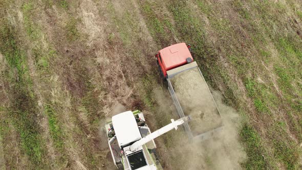 Loading Shredded Hay Into the Back of a Truck on the Field alt