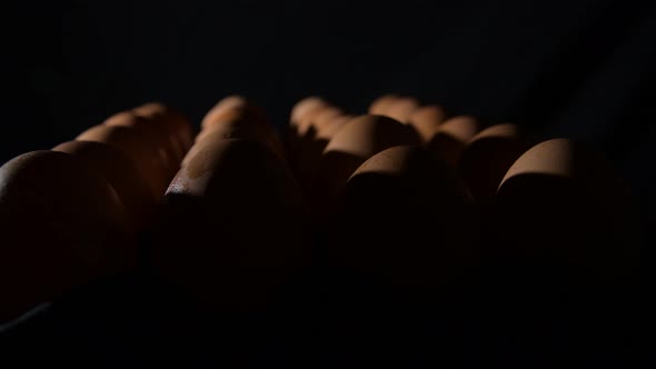 Brown Eggs in Row Gyrating alt