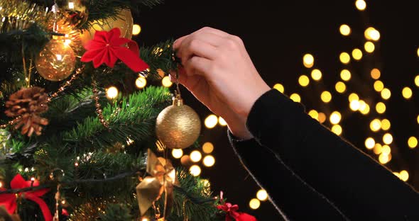 Girl Hanging Decorative Ball on Christmas Tree Branch