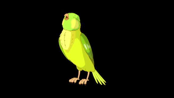 Green canary sings alpha matte HD