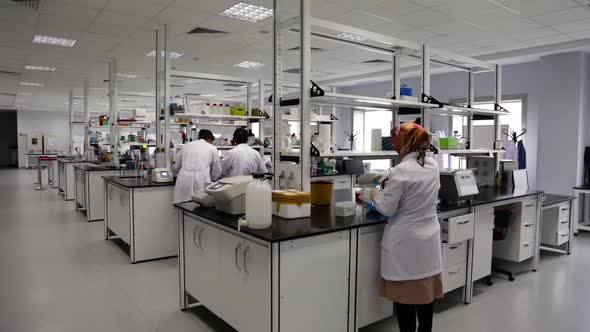 Team Of Scientists In A Modern Laboratory