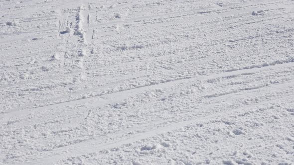 White alpine downhill  people passing by slow-mo  1920X1080 HD footage - Winter sport with snowed tr alt