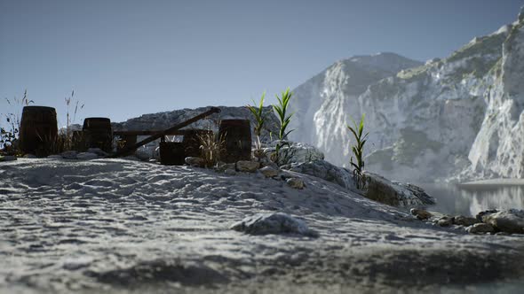 Wooden Barrels with Sea Fish at the Sand Beach alt