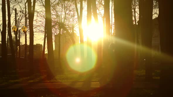 Landscape City Park Sun and People Unrecognizable Slow Mo alt