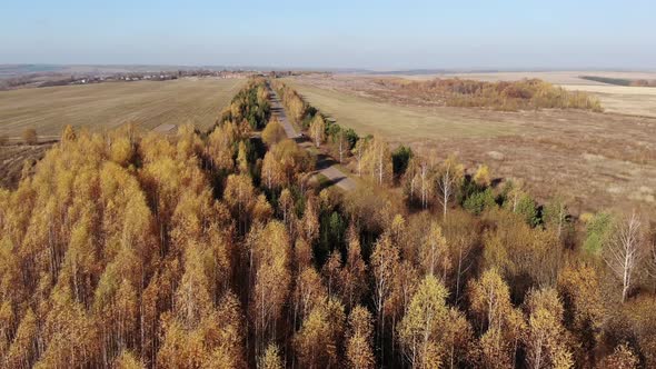 Autumn landscape. Flying