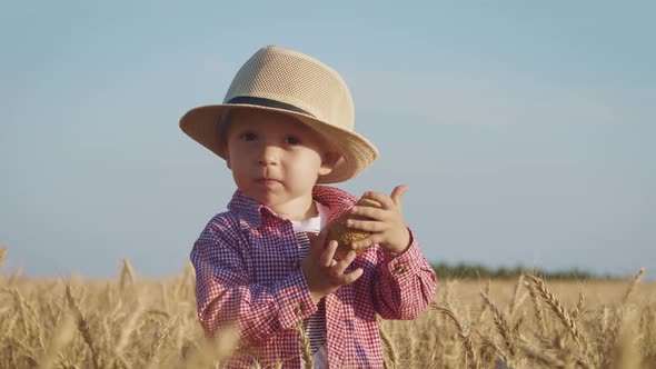 Happy Little Toddler in Hat Eats Bread While Standing in Wheat Field at Sunset. Summer Country Life alt