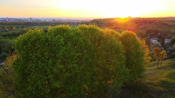 Aerial View of Woodland with Fresh Green Trees and Small Village Homes in Early Spring at Sunset alt