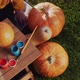 Child's Hands with a Paintbrush Paint Pumpkins - VideoHive Item for Sale