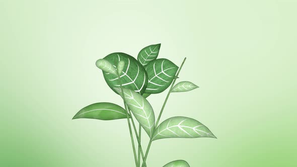 Looped background with modern animation of growing sprouts in cartoon style