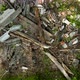 Climbs up on the trash-strewn ground in the forest - VideoHive Item for Sale