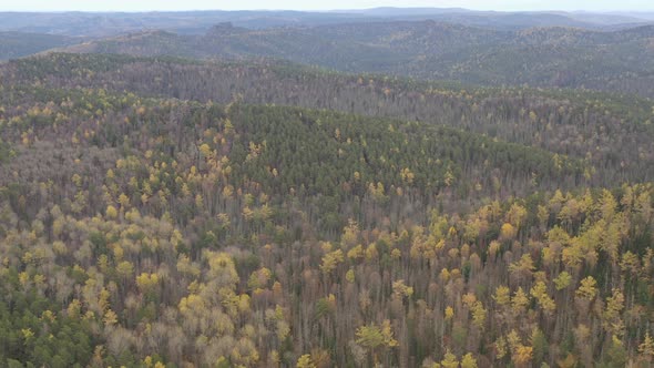 Aerial View of the Forest in the Mountains.