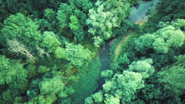 Aerial Drone Footage of Small River in Mountains. Aerial Video. alt