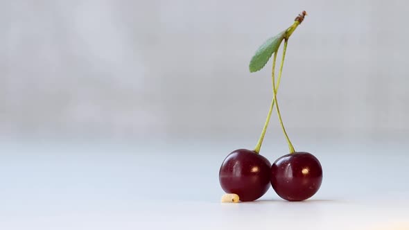 Little Worm and Cherry alt