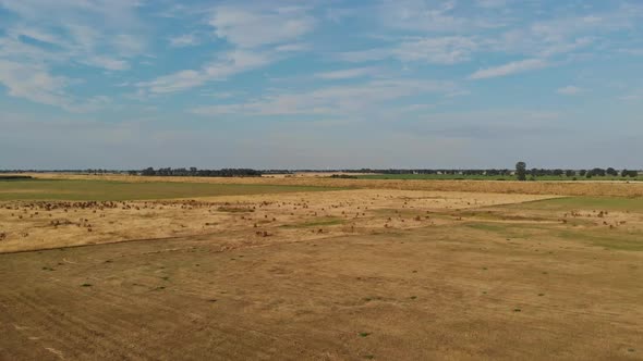 Floodplains of the Vistula River. alt