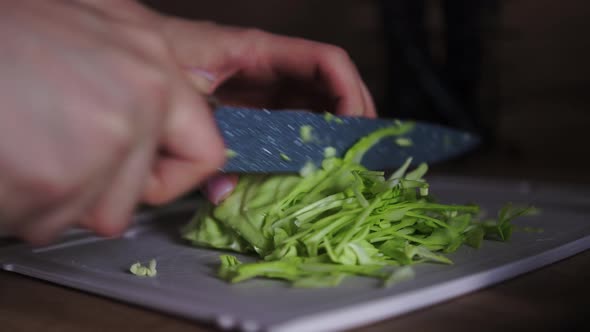 Woman Cuts Cabbage with a Knife on a Board at Home in the Kitchen