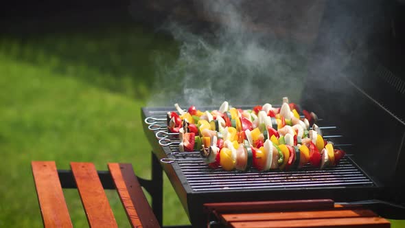 Colorful and Tasty Grilled Shashliks on Outdoor Summer Barbecue