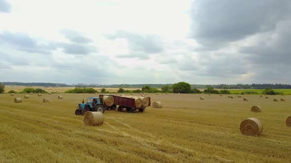 Tractor Loading Bales Of Hay. Universal tractor loader loads the trailed straw bales alt