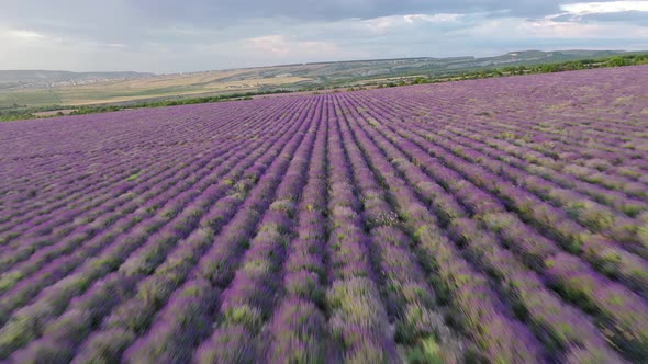 Aerial Nature Landscape Video