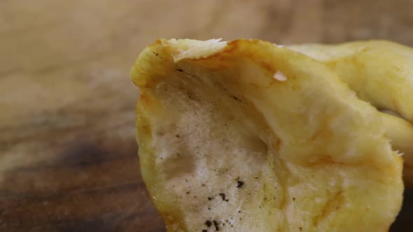 Macro shot of Hedgehog Mushroom (Hydnum repandum) alt