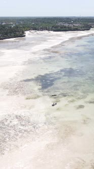 Tanzania  Vertical Video of Low Tide in the Ocean Near the Coast of Zanzibar Slow Motion alt