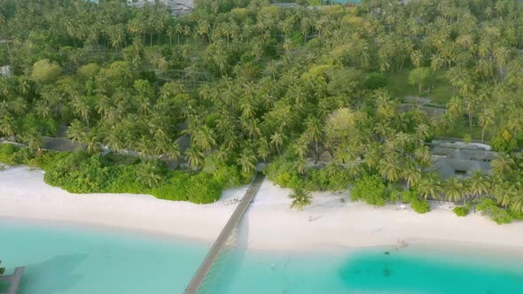 Maldives tropical beach with coconut palm trees and resort area and white sand beach, Drone view alt