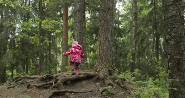 Back View of Little Girl Walking on Forest Path alt