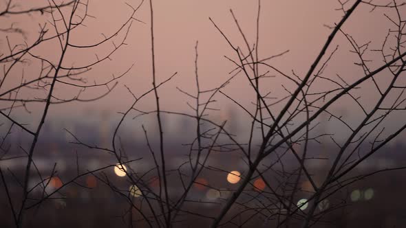 Panorama of the Evening City of Moscow